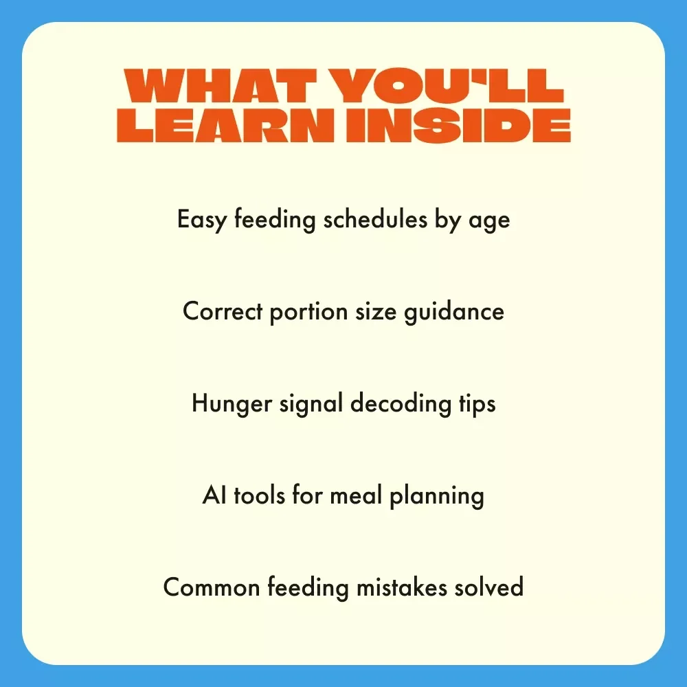 How Often to Feed a New Kitten | Complete Digital Guide for New Cat Owners | Kitten Feeding Schedule, Meal Planning & AI Tools for Smarter Pet Care
