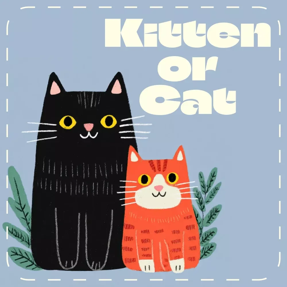 Kitten or Cat: The Smart Adopter’s Decision | Printable Pet Adoption Checklist | Digital Download | Kitten vs Adult Cat Guide for Pet Lovers