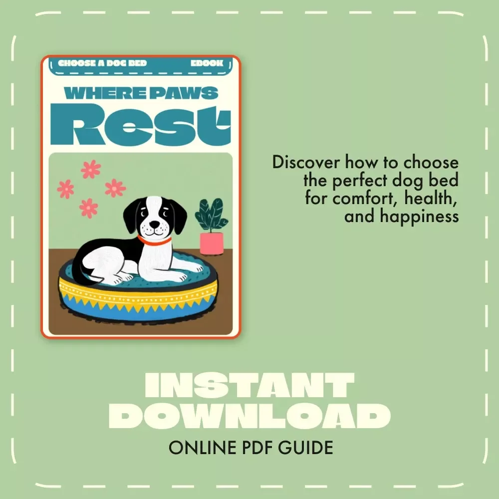 Where Paws Rest | How to Choose a Dog Bed eBook | Complete Guide for Every Dog Lover | Digital Download Pet Care Resource