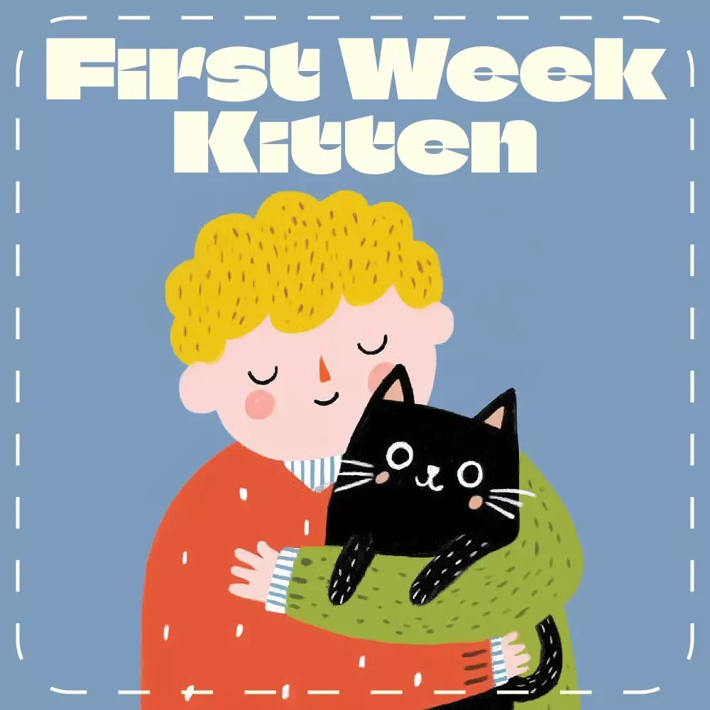 Your First Week Kitten Checklist | Printable First Week Checklist for New Kittens | Digital Download Kitten Care Guide for New Cat Owners