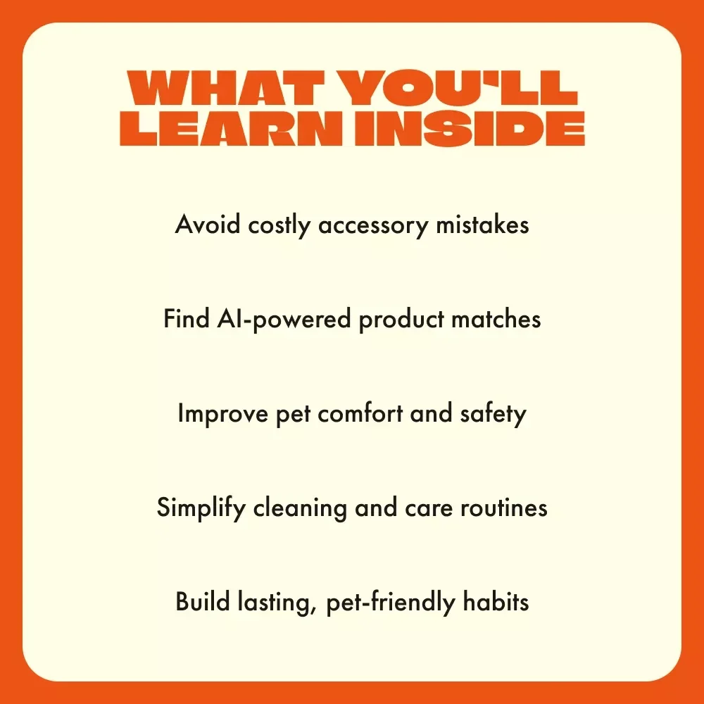 Choosing the Right Pet Accessories | Digital Pet Care Guide | How to Choose the Right Pet Accessories for Comfort, Safety & Fun | AI Tools & Practical Tips for Every Pet Owner