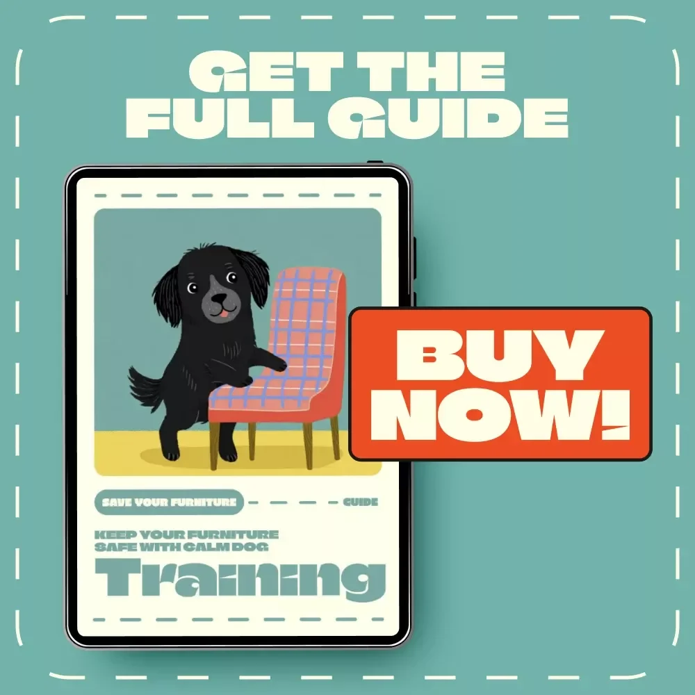Keep Your Furniture Safe with Calm Dog Training | Stop Dog Chewing Guide | Digital Download eBook on How to Stop a Dog from Chewing Furniture