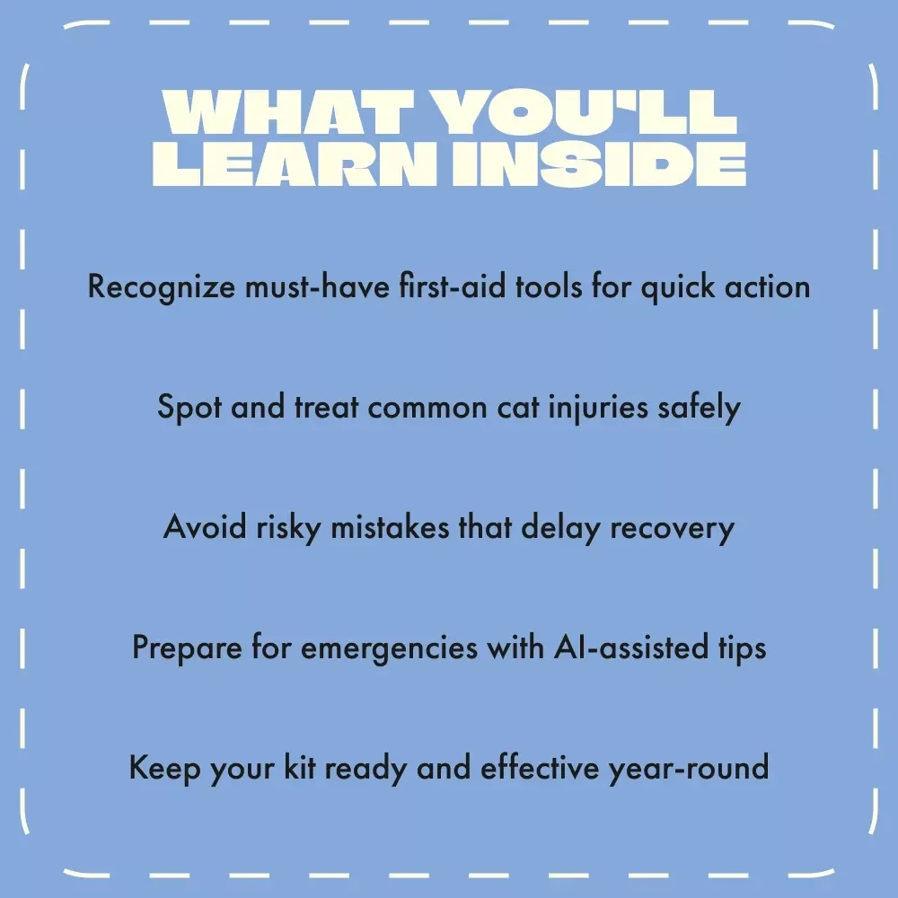 Cat First-Aid Essentials | Digital Guide for Cat Owners | Must-Have Items for a Cat First-Aid Kit | Printable eBook for Pet Safety