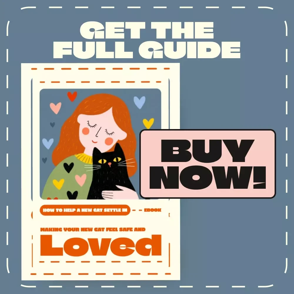 Making Your New Cat Feel Safe and Loved | eBook for Cat Parents – How to Help a New Cat Settle In, Build Trust & Create a Happy Home