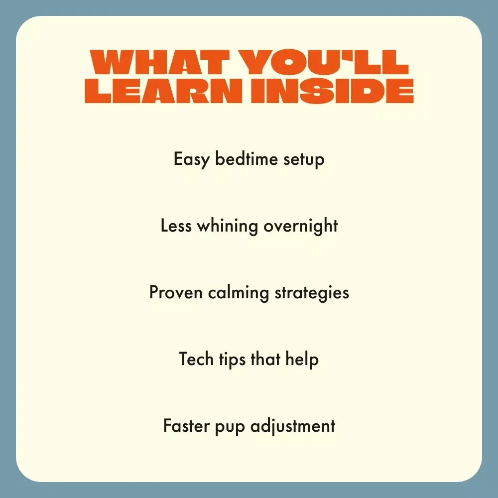 First Night with Fido: A Beginner’s Guide | What to Expect the First Night with a Dog | Puppy Owner Digital Download, New Dog Parent eBook, Printable Pet Guide