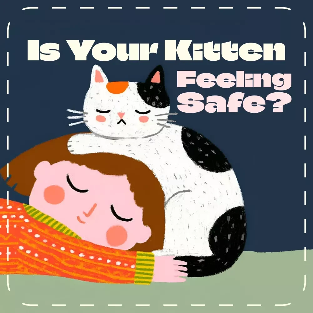 Is Your Kitten Feeling Safe | Printable Kitten Checklist | Signs a Kitten Feels Safe With You | Digital Pet Care Guide for New Cat Owners