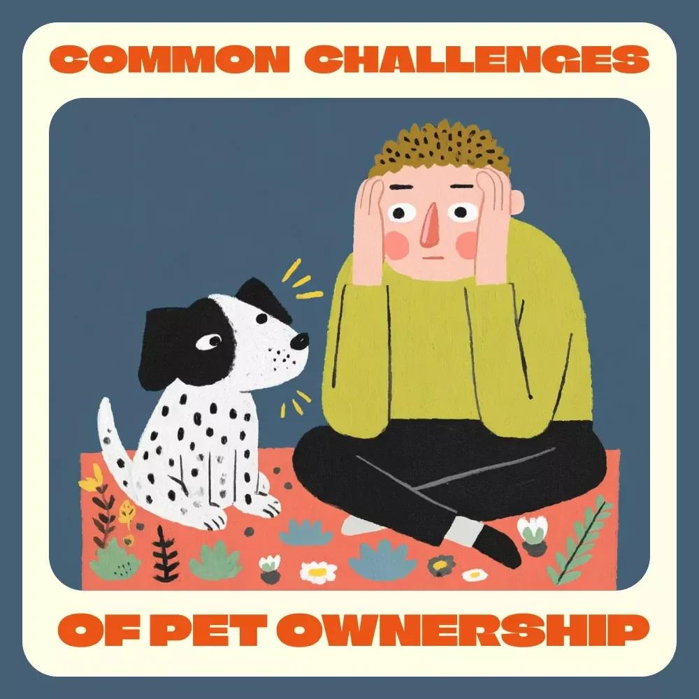 Common Challenges of Pet Ownership | Ebook Guide for Pet Lovers | Understanding, Training & Solving Common Challenges with Pets | Digital Download for Responsible Pet Owners