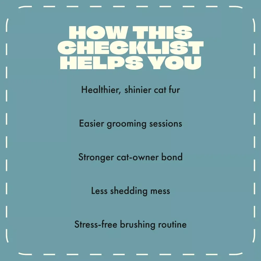 The Purrfect Brushing Routine for a Happy Cat | Printable Cat Grooming Checklist | How Often Should You Brush a Cat Guide | Digital Download for Cat Owners