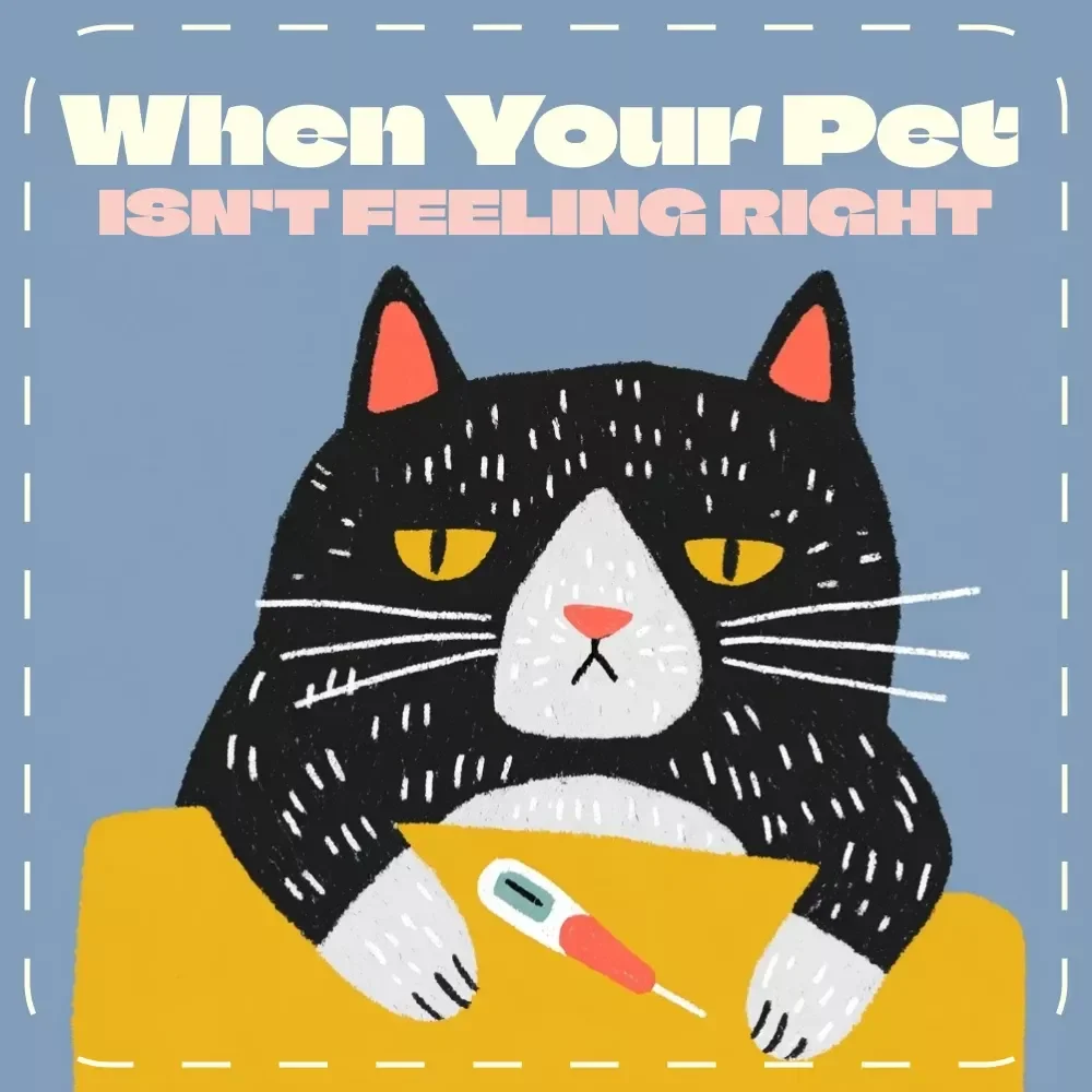 When Your Pet Isn’t Feeling Right – Printable Pet Health Checklist | Digital Download Guide to Recognize Signs a Pet Is Sick, Spot Early Symptoms & Track Pet Wellness