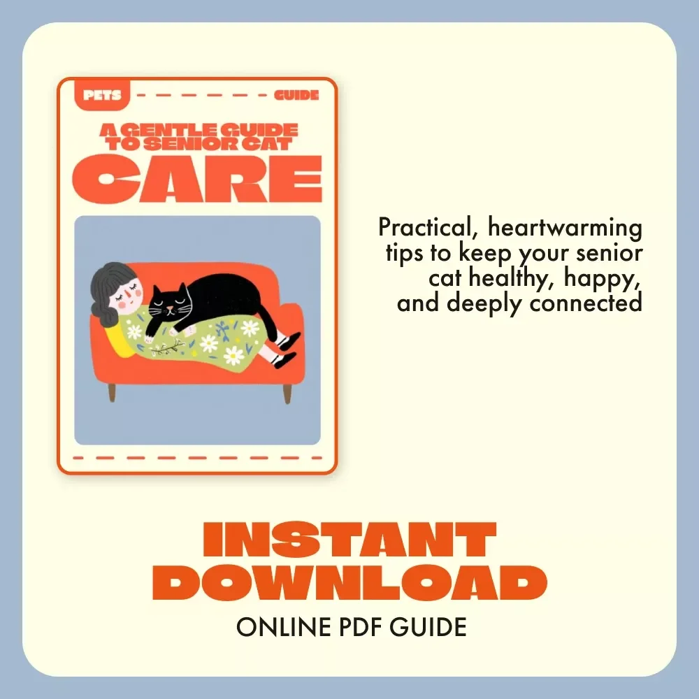 A Gentle Guide to Senior Cat Care | Digital Download eBook for Loving Cat Owners | Senior Cat Care Tips for Nutrition, Comfort & Emotional Wellbeing