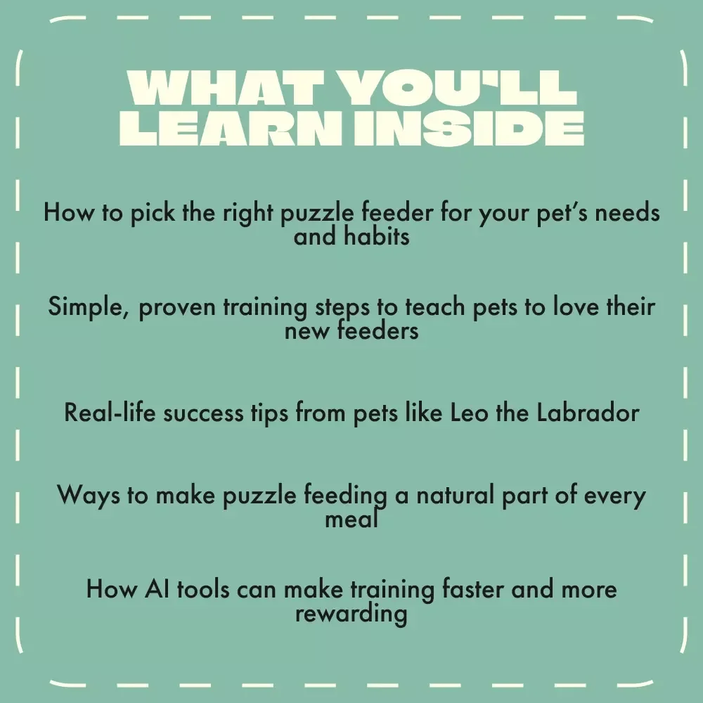 Smarter Mealtime Fun for Pets | How to Use Puzzle Feeders for Pets | Digital Guide for Pet Enrichment and Training