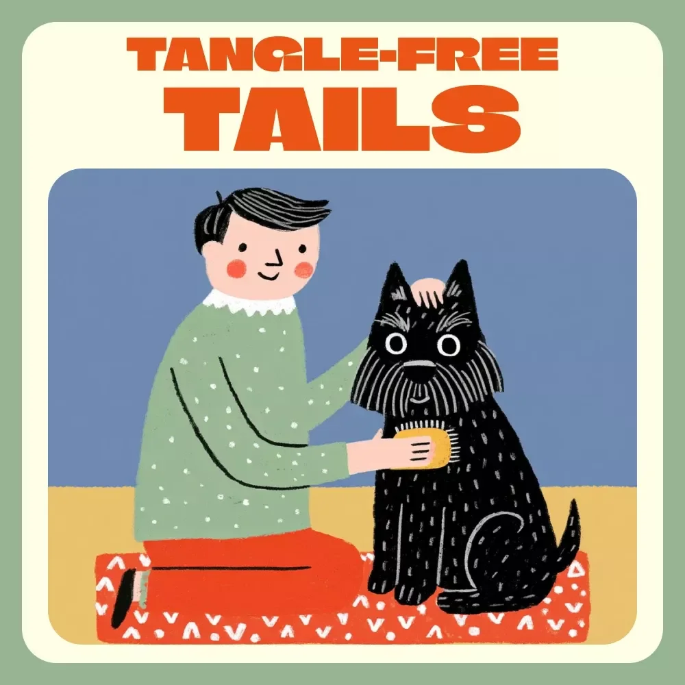 Tangle-Free Tails | Ultimate Guide on How to Prevent Matting in Long-Haired Dogs | Grooming Habits, Tools, and Smart AI Prompts for Perfect Coats