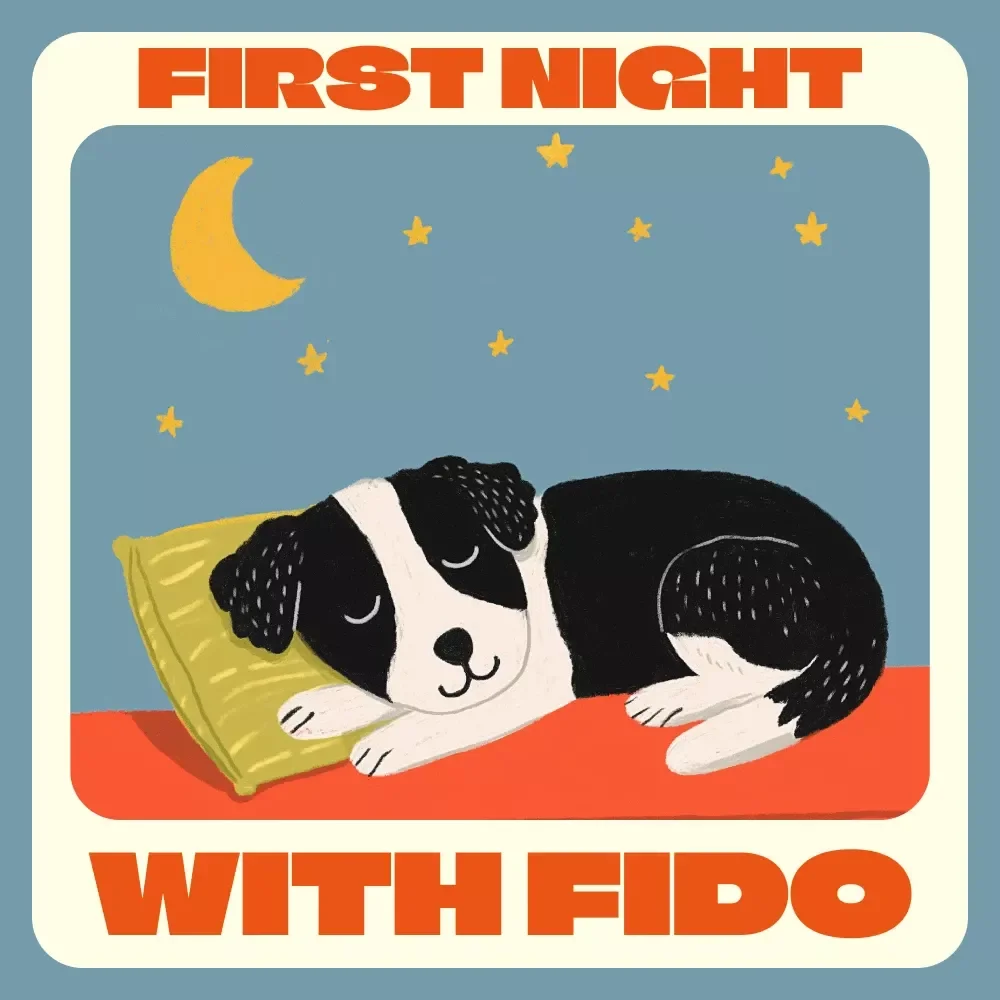 First Night with Fido: A Beginner’s Guide | What to Expect the First Night with a Dog | Puppy Owner Digital Download, New Dog Parent eBook, Printable Pet Guide