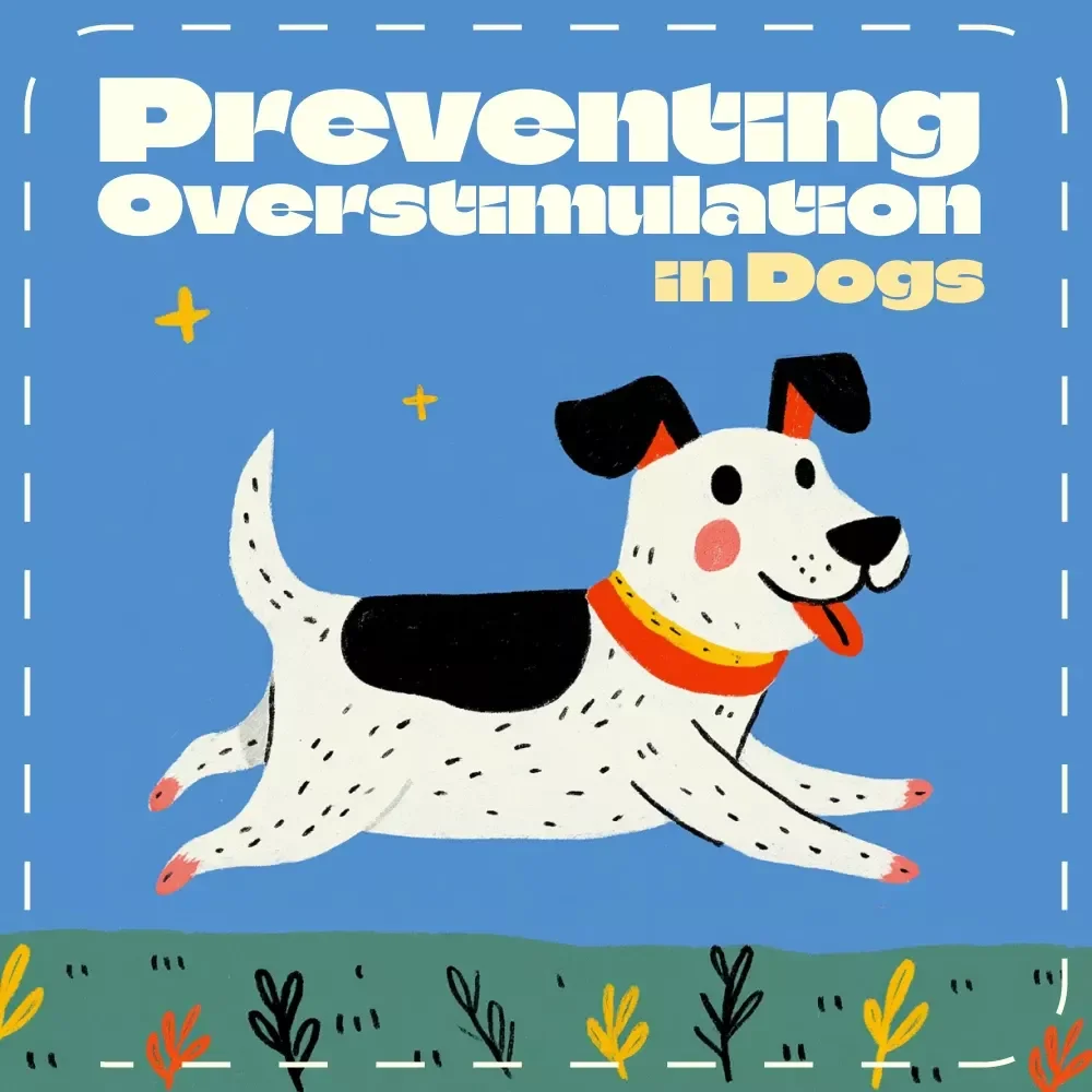 Beyond the Zoomies: Understanding and Preventing Overstimulation in Dogs | Calm Dog Training eBook | How to Avoid Overstimulating Dogs | Digital Guide for Balanced Play and Behavior