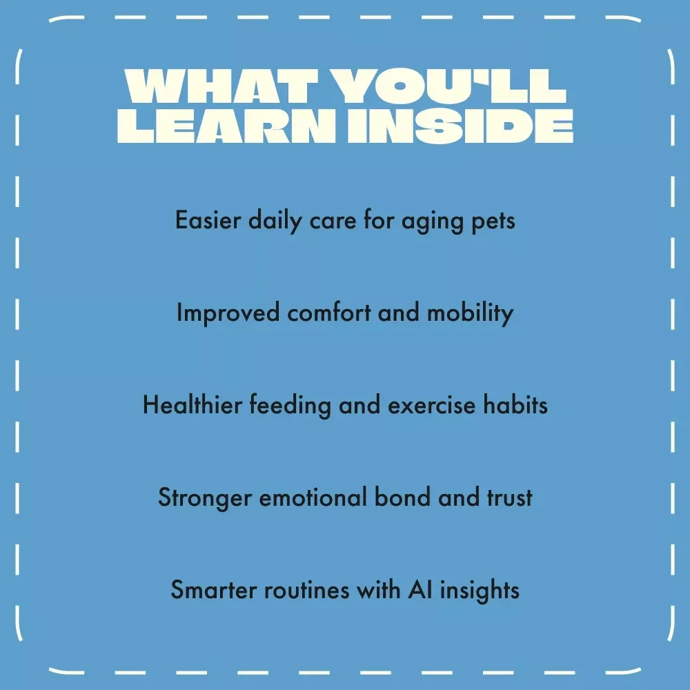 Adjust Your Senior Pet’s Routine for Health and Comfort | Senior Pet Care eBook | Digital Download Guide for Aging Pets, Dog & Cat Wellness, Pet Routine Adjustment Tips
