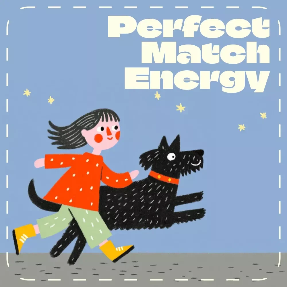 Perfect Match Energy | Pet Choosing Guide for Matching Energy Levels | Digital Download eBook for Choosing a Pet Based on Energy Level, Lifestyle & Daily Routine