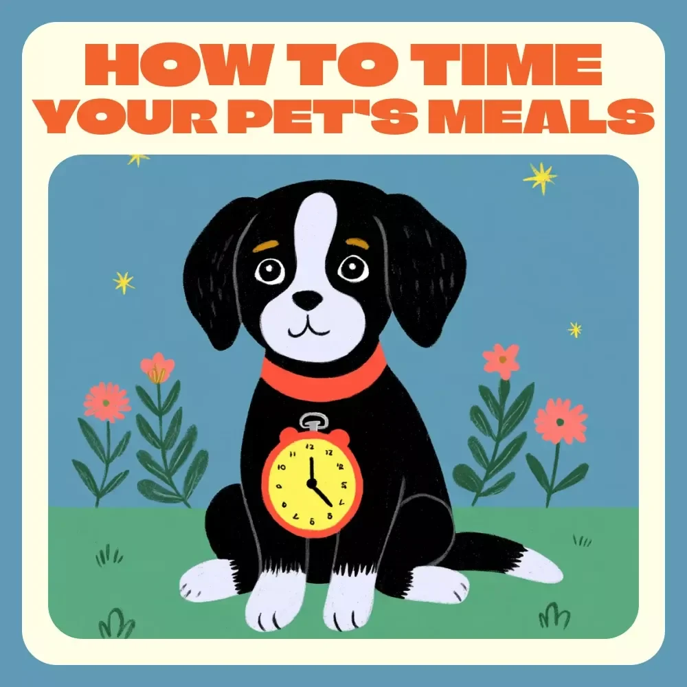 How to Time Your Pet’s Meals for a Happier Day | Printable Pet Feeding Checklist | When to Feed Pets During the Day | Pet Routine Guide for Balanced Nutrition & Calm Energy