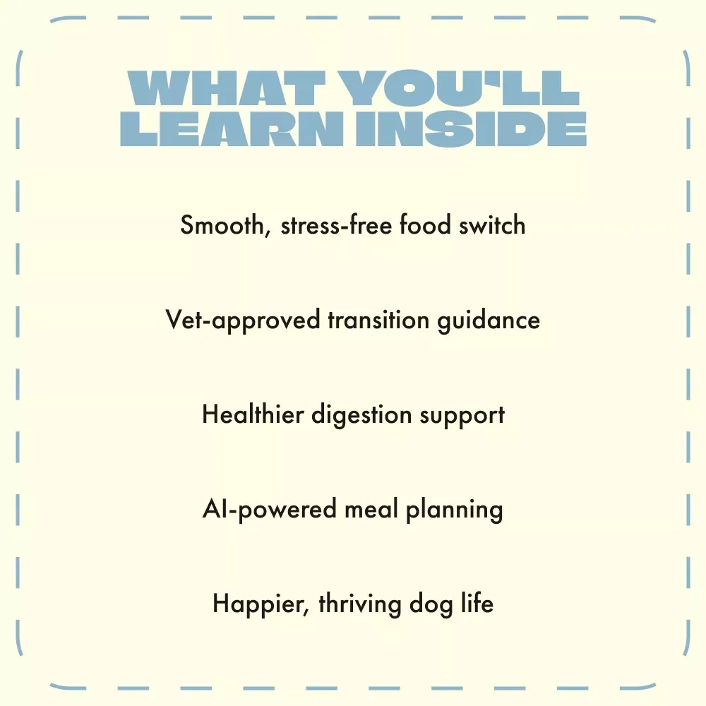 Switching Your Dog’s Food | Safe Dog Diet Transition eBook | How to Switch Dog Food Safely | Step-by-Step Guide for Pet Owners