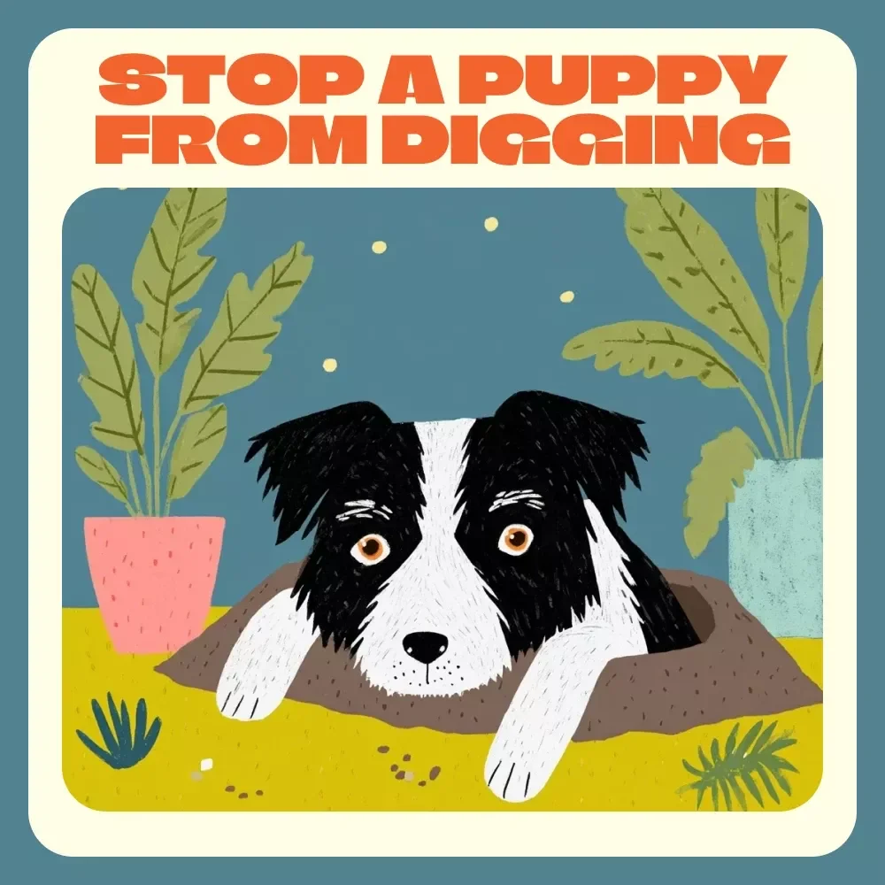 A Calm Yard Starts with a Happy Puppy | How to Stop a Puppy from Digging Guide | Digital Download for Dog Owners & Puppy Training