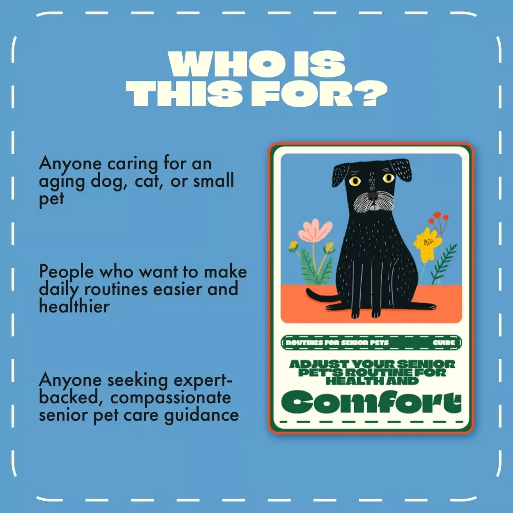 Adjust Your Senior Pet’s Routine for Health and Comfort | Senior Pet Care eBook | Digital Download Guide for Aging Pets, Dog & Cat Wellness, Pet Routine Adjustment Tips