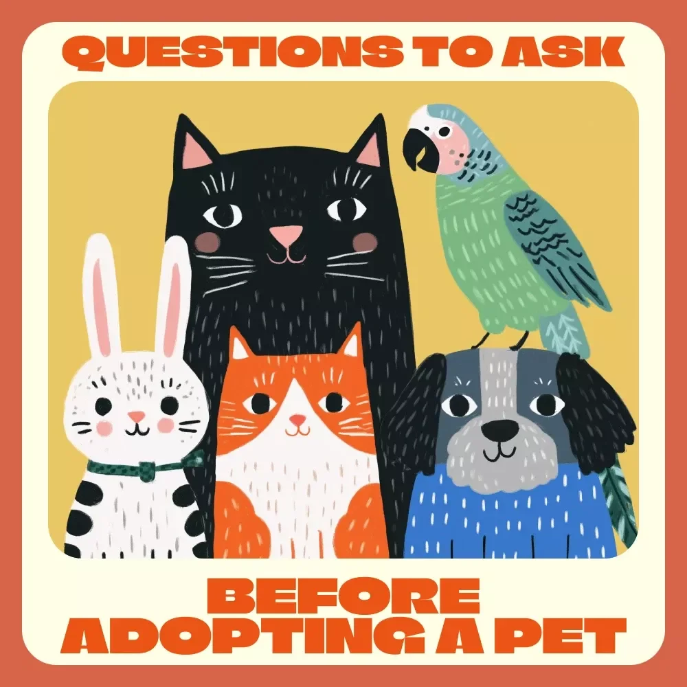 The Essential Questions to Ask Before Adopting a Pet | Pet Adoption eBook Guide for First-Time Owners | What Questions to Ask Before Pet Adoption Checklist & Companion