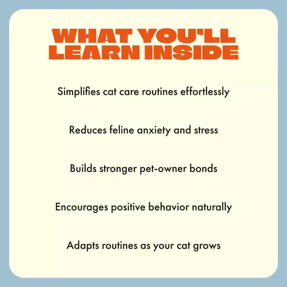 Purr-fect Days: Setting Daily Routines for Your New Cat | Cat Care eBook, Feline Routine Guide, Cat Training & Wellness Digital Download for Pet Owners