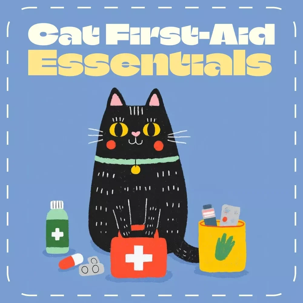 Cat First-Aid Essentials | Digital Guide for Cat Owners | Must-Have Items for a Cat First-Aid Kit | Printable eBook for Pet Safety