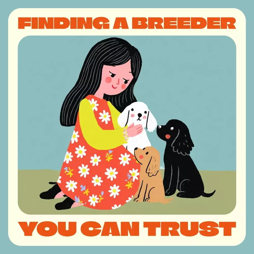 Finding a Breeder You Can Trust | Digital Guide on How to Check If a Breeder Is Reputable | Dog Owner’s eBook for Responsible Puppy Buyers | Learn to Spot Red Flags & Verify Breeders with AI Tools