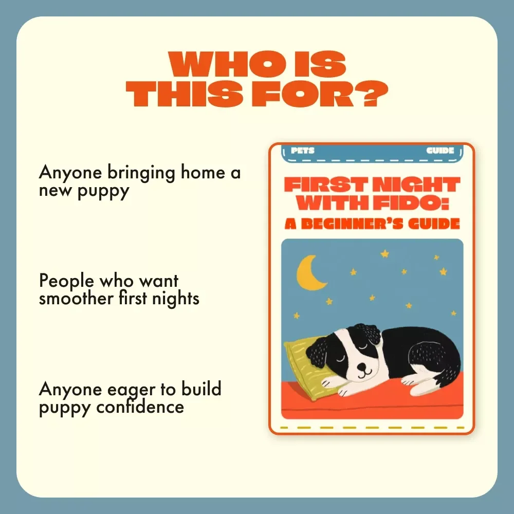 First Night with Fido: A Beginner’s Guide | What to Expect the First Night with a Dog | Puppy Owner Digital Download, New Dog Parent eBook, Printable Pet Guide