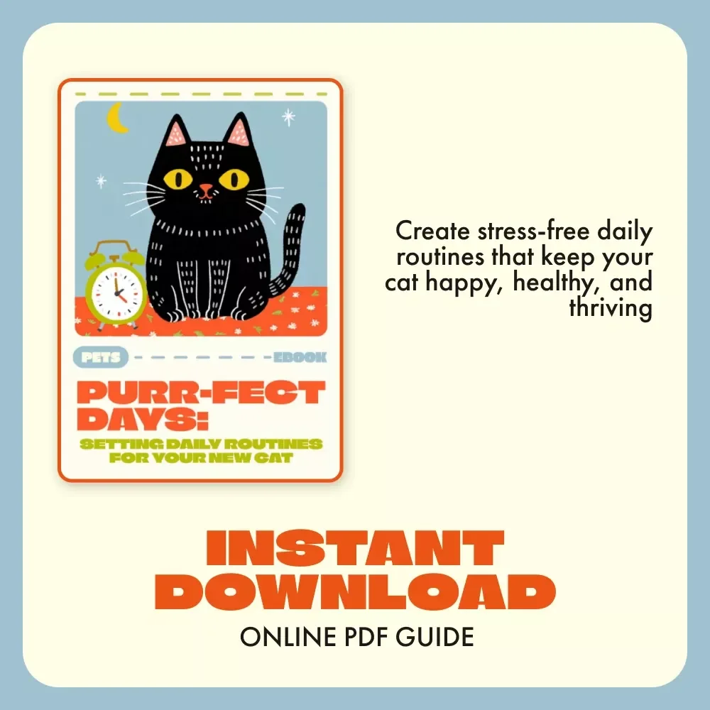 Purr-fect Days: Setting Daily Routines for Your New Cat | Cat Care eBook, Feline Routine Guide, Cat Training & Wellness Digital Download for Pet Owners