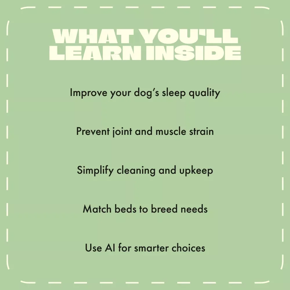 Where Paws Rest | How to Choose a Dog Bed eBook | Complete Guide for Every Dog Lover | Digital Download Pet Care Resource