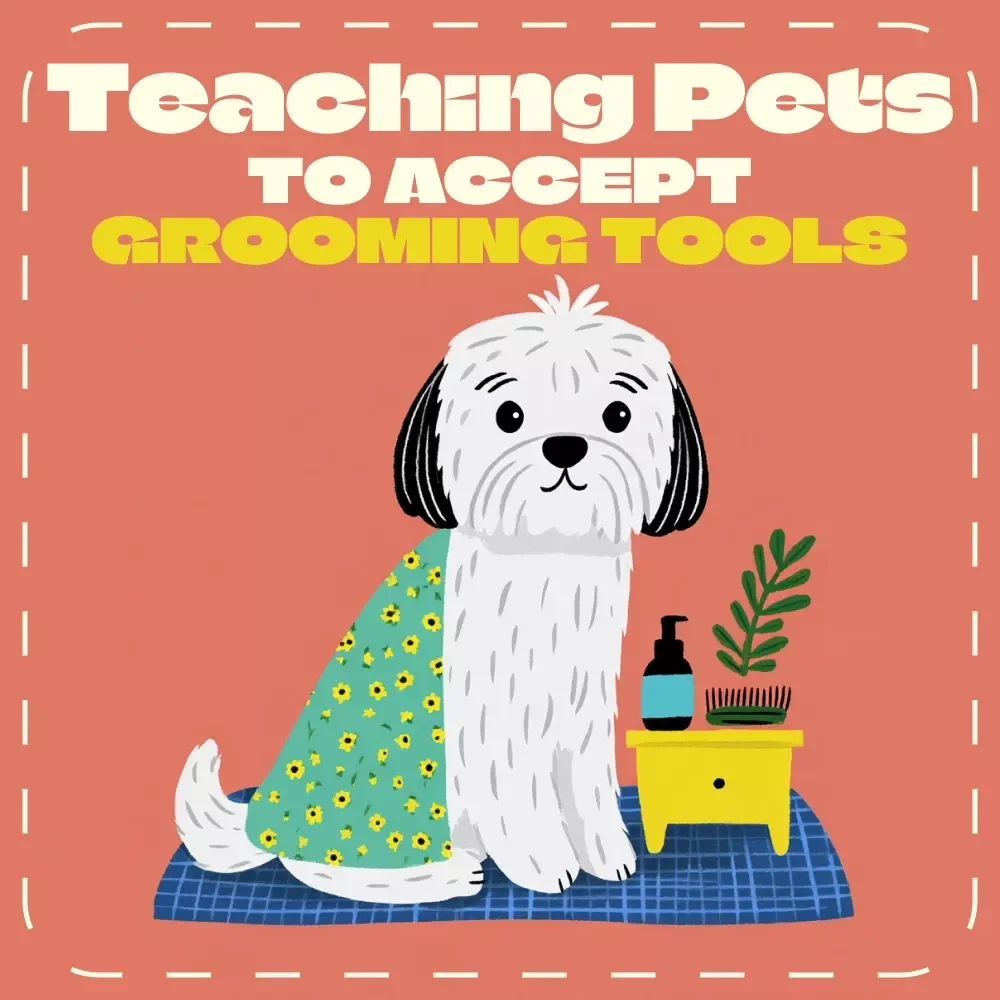 Teaching Pets to Accept Grooming Tools Checklist | How to Teach Pets to Accept Grooming Tools | Digital Pet Training Guide for Calm, Happy Grooming Sessions