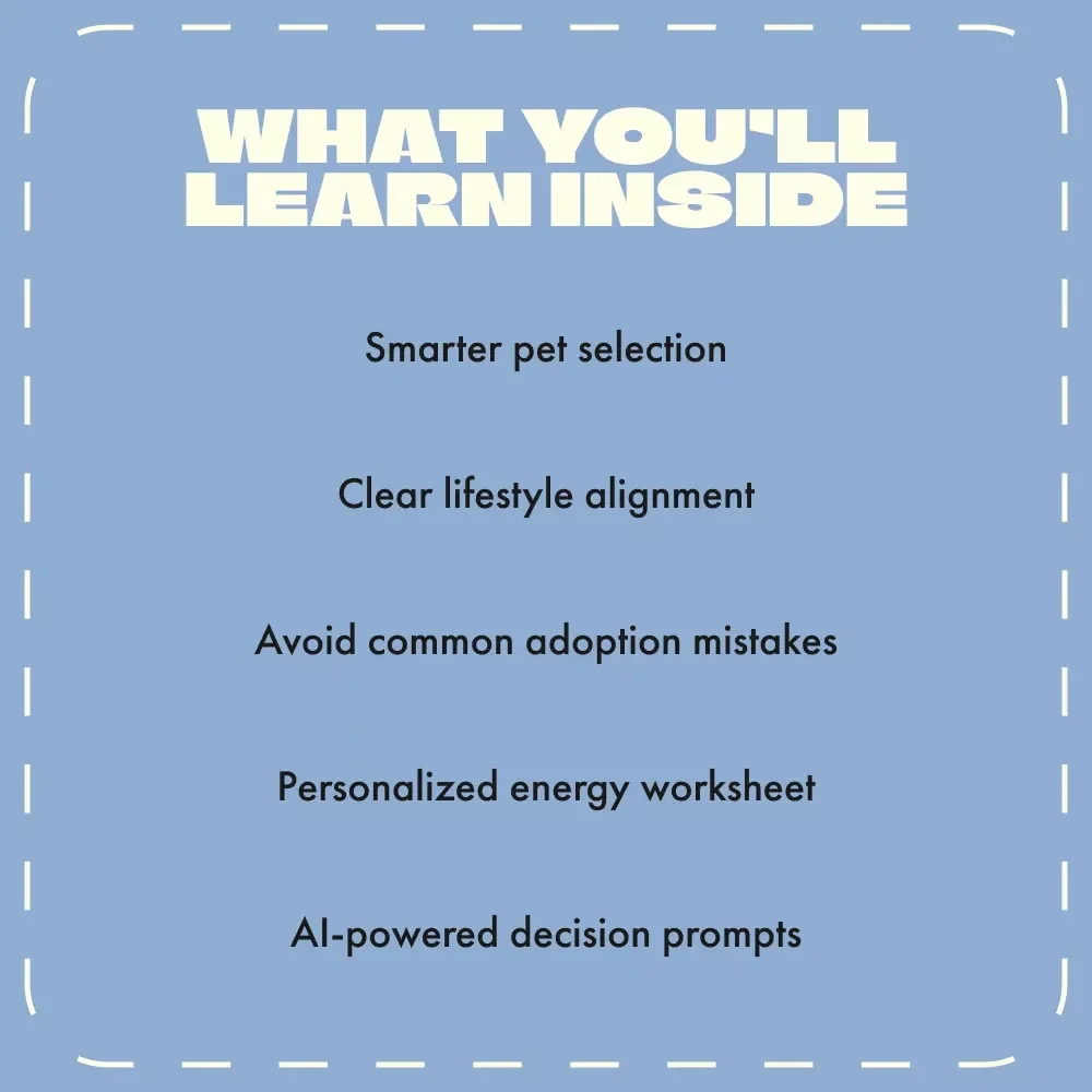 Perfect Match Energy | Pet Choosing Guide for Matching Energy Levels | Digital Download eBook for Choosing a Pet Based on Energy Level, Lifestyle & Daily Routine