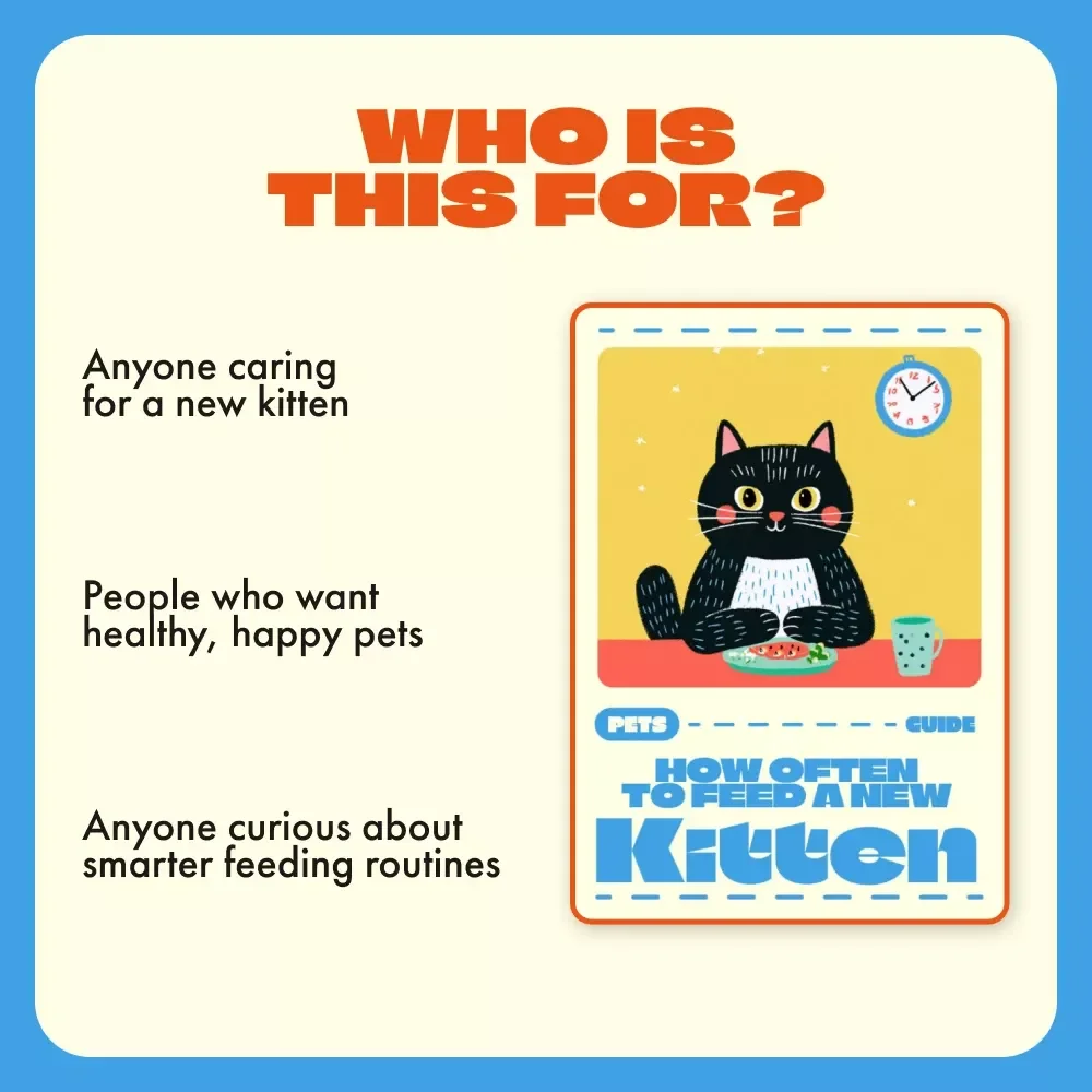 How Often to Feed a New Kitten | Complete Digital Guide for New Cat Owners | Kitten Feeding Schedule, Meal Planning & AI Tools for Smarter Pet Care