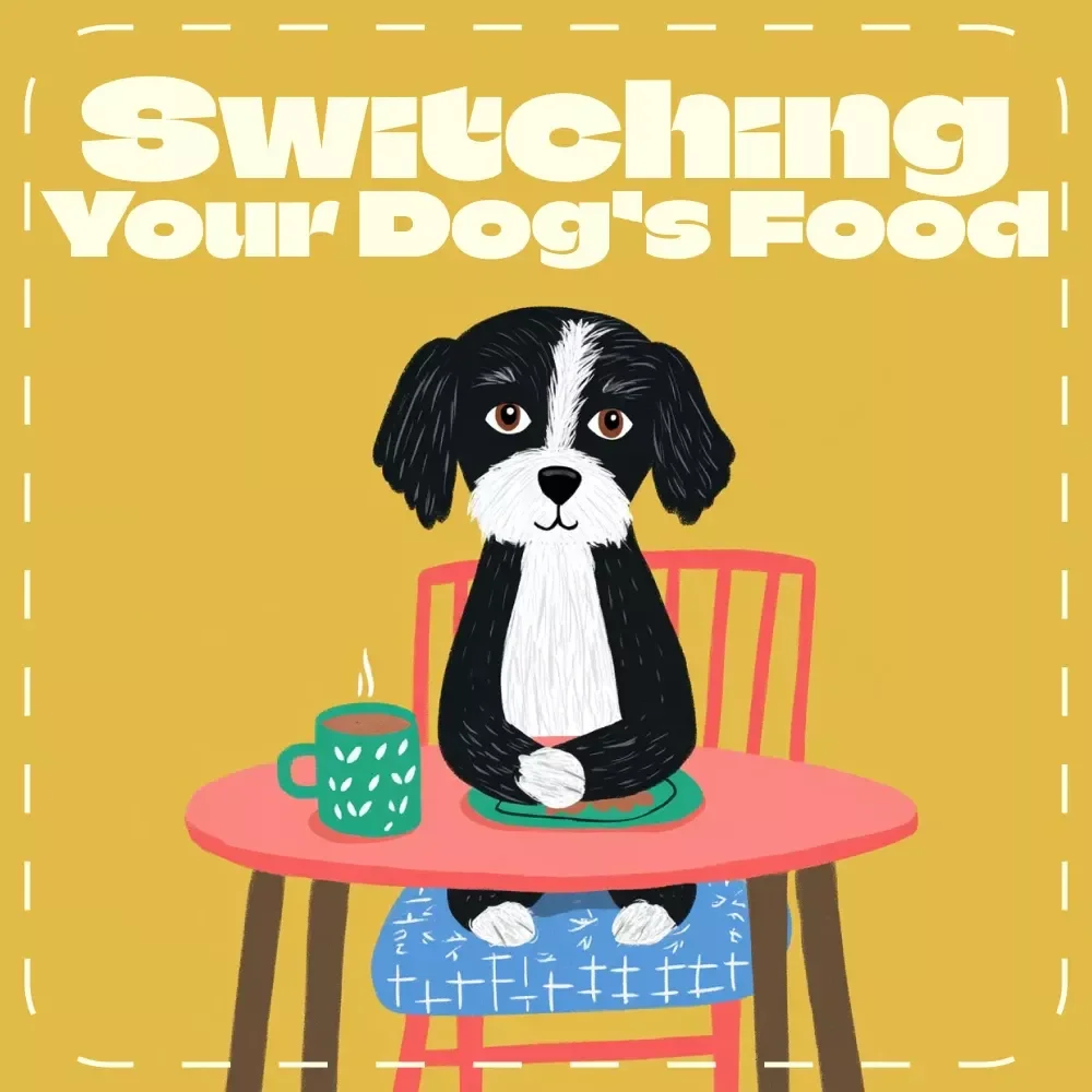 Switching Your Dog’s Food | Safe Dog Diet Transition eBook | How to Switch Dog Food Safely | Step-by-Step Guide for Pet Owners