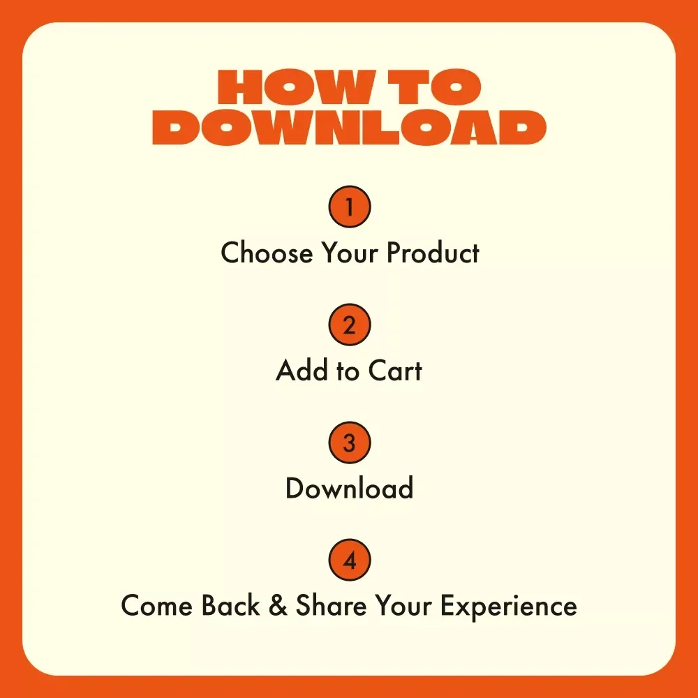 Choosing the Right Pet Accessories | Digital Pet Care Guide | How to Choose the Right Pet Accessories for Comfort, Safety & Fun | AI Tools & Practical Tips for Every Pet Owner