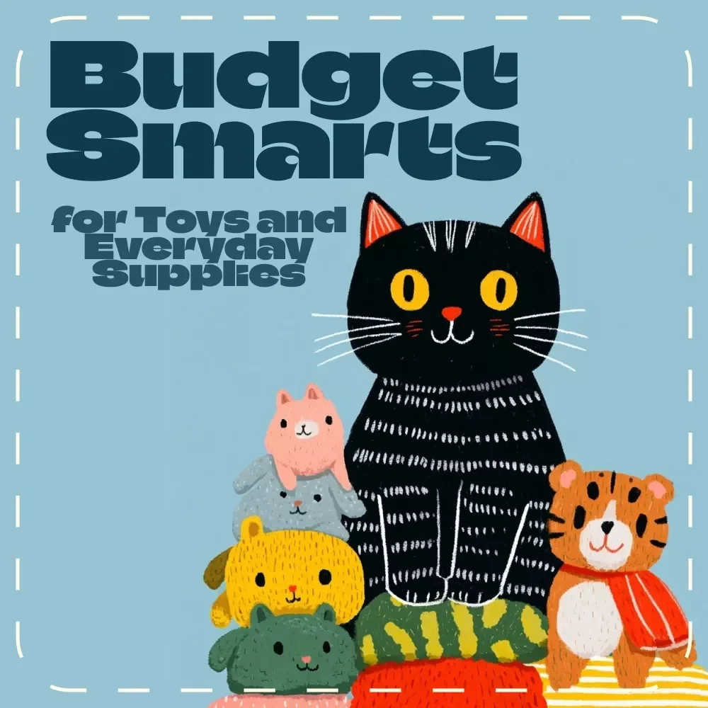 Budget Smarts for Toys and Everyday Supplies | Digital Guide for Managing Toy and Supply Costs | Printable PDF for Parents, Teachers & Budget-Conscious Shoppers