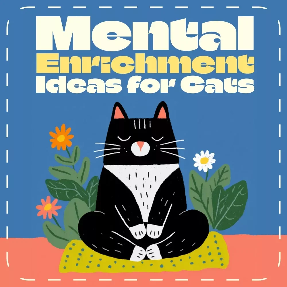 Purrfect Minds: Mental Enrichment Ideas for Cats | Printable Checklist for Cat Owners | Fun Indoor Activities & DIY Cat Enrichment Guide