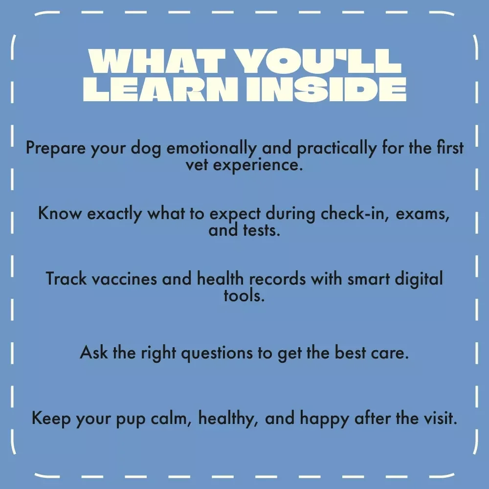 Paws & First Visits: Your Guide to Taking Your Dog to the Vet | Dog Owner eBook for First Vet Visit | Puppy Care Checklist | Digital Download | What to Expect at First Dog Vet Visit