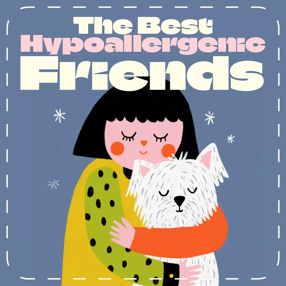 A Pet Lover’s Guide to the Best Hypoallergenic Friends | Digital Guide for Allergy Sufferers | Discover the Best Hypoallergenic Pets for a Sneeze-Free, Happy Home
