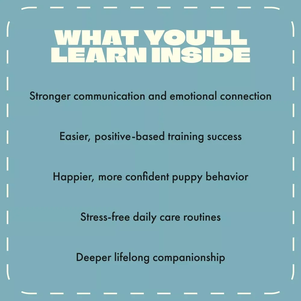 Building a Beautiful Bond with Your Puppy – eBook Guide for Bonding with a New Puppy | Positive Training, Emotional Connection & Routine Building Tips