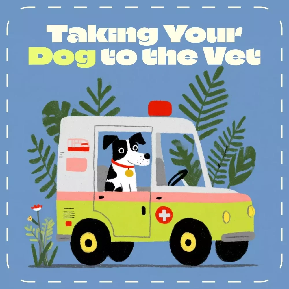 Paws & First Visits: Your Guide to Taking Your Dog to the Vet | Dog Owner eBook for First Vet Visit | Puppy Care Checklist | Digital Download | What to Expect at First Dog Vet Visit