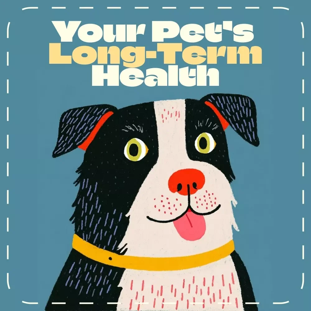 Planning for Your Pet’s Long-Term Health | Printable Pet Care Checklist | Digital Download Guide on How to Plan for a Pet’s Long-Term Health | Pet Wellness Planner for Dogs, Cats & More