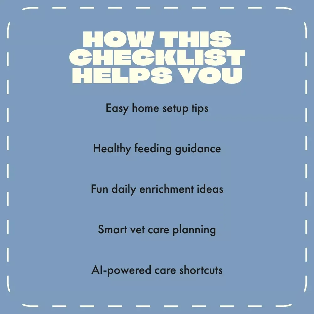 Your First Week Kitten Checklist | Printable First Week Checklist for New Kittens | Digital Download Kitten Care Guide for New Cat Owners