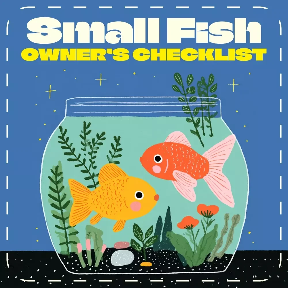 Small Fish Owner’s Checklist | Digital Download for Pet Fish for Small Tanks | Beginner Aquarium Guide, Mini Tank Fish Care, AI Smart Fishkeeping Tips