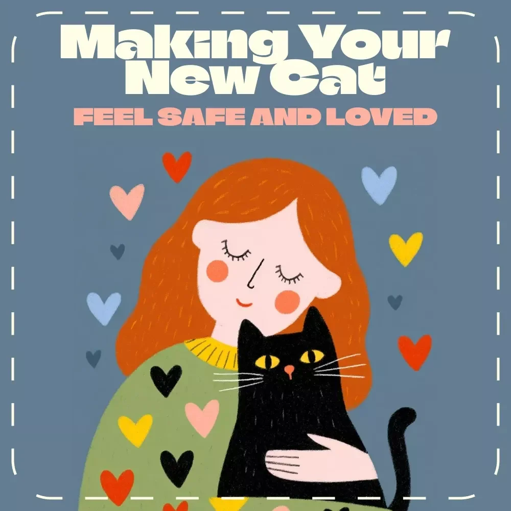 Making Your New Cat Feel Safe and Loved | eBook for Cat Parents – How to Help a New Cat Settle In, Build Trust & Create a Happy Home