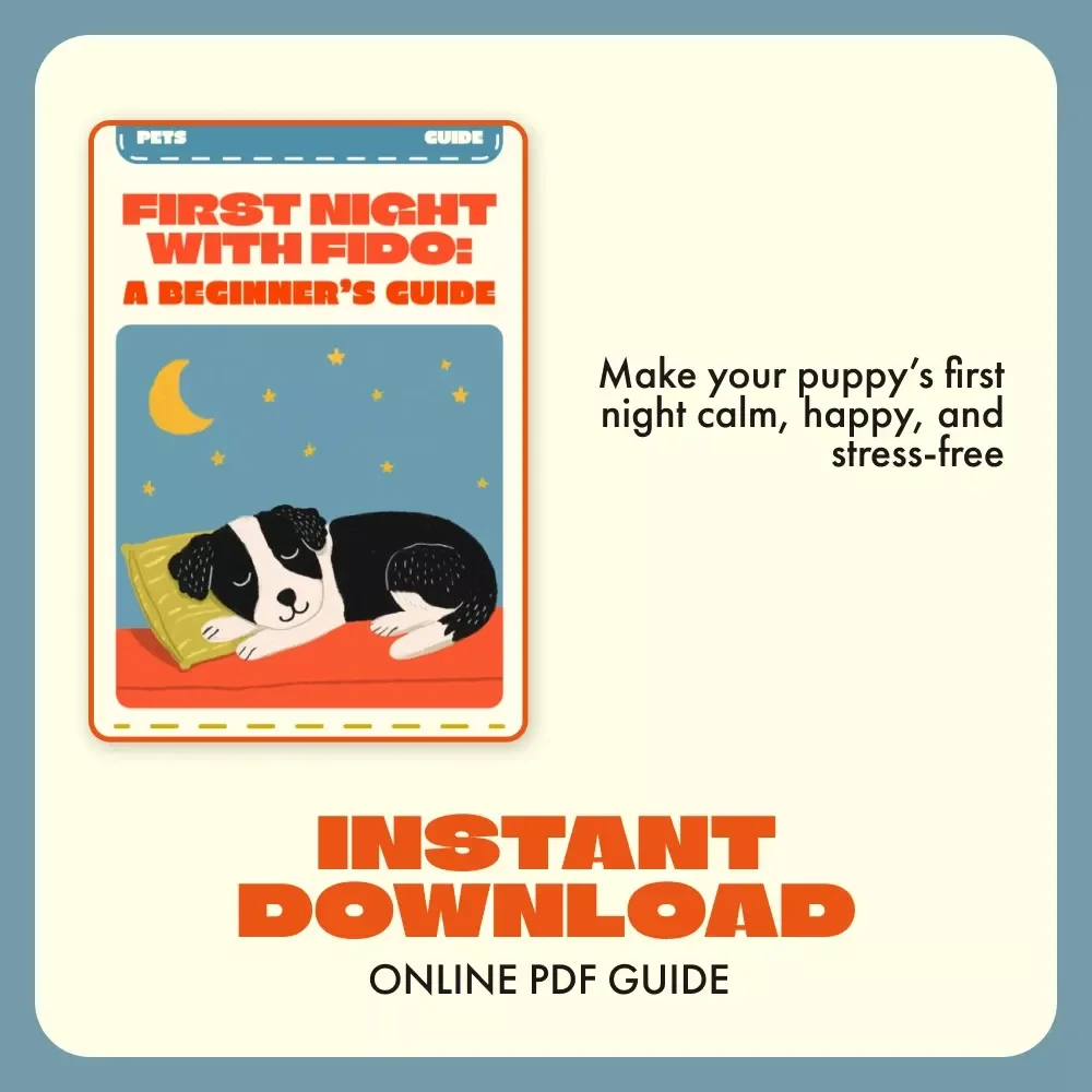 First Night with Fido: A Beginner’s Guide | What to Expect the First Night with a Dog | Puppy Owner Digital Download, New Dog Parent eBook, Printable Pet Guide