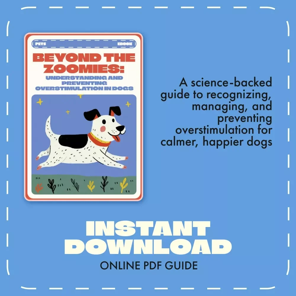 Beyond the Zoomies: Understanding and Preventing Overstimulation in Dogs | Calm Dog Training eBook | How to Avoid Overstimulating Dogs | Digital Guide for Balanced Play and Behavior