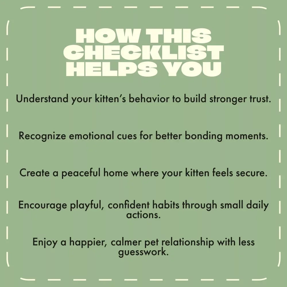 Is Your Kitten Feeling Safe | Printable Kitten Checklist | Signs a Kitten Feels Safe With You | Digital Pet Care Guide for New Cat Owners