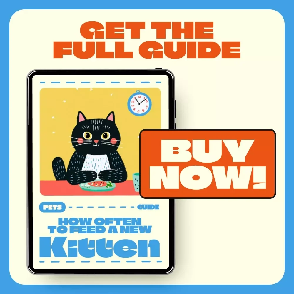 How Often to Feed a New Kitten | Complete Digital Guide for New Cat Owners | Kitten Feeding Schedule, Meal Planning & AI Tools for Smarter Pet Care